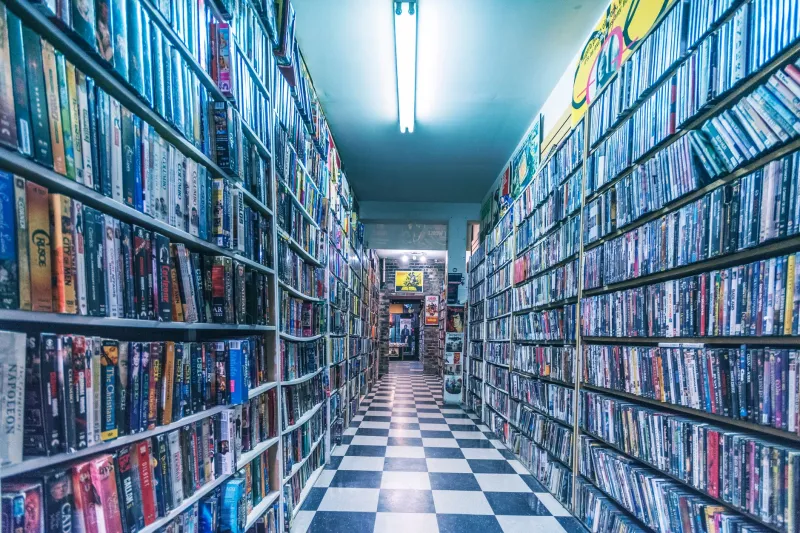 VHS, Velvet Ropes, and a Revolution Nobody Admitted to Watching: How 1979 Rewrote the Rules of Adult Entertainment